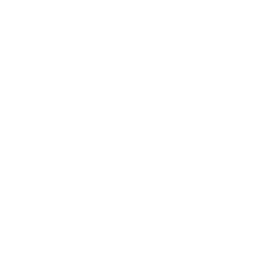 aig